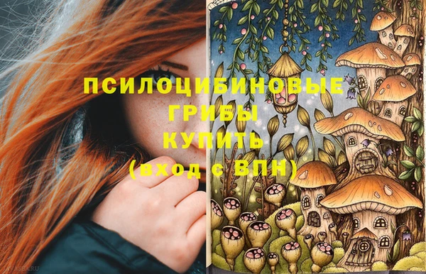 MDMA Медвежьегорск