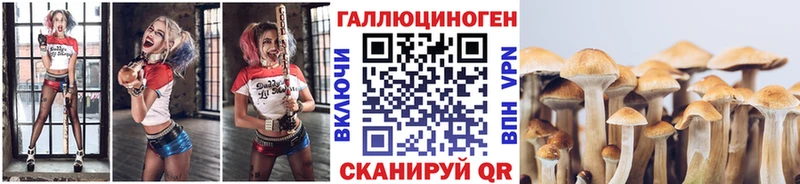 Псилоцибиновые грибы ЛСД  где можно купить наркотик  Мышкин 